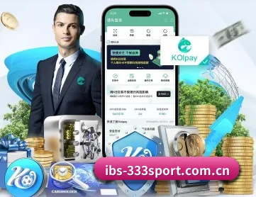 333体育 APP 深度功能